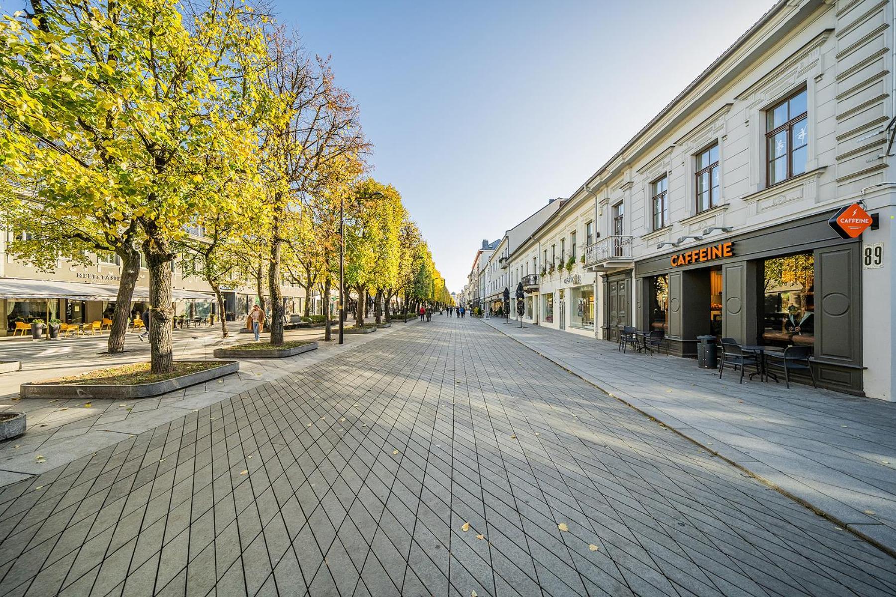 Central Park Apartments - The Luxury Collection Каунас Экстерьер фото
